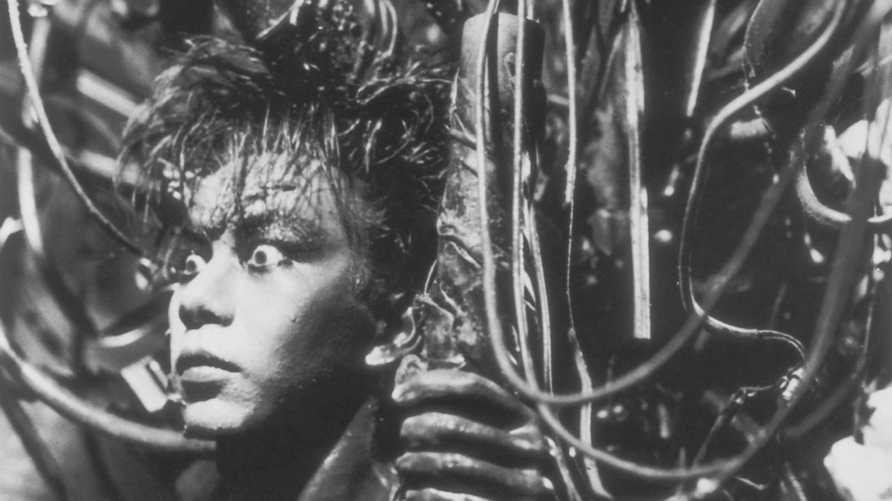 The Post-Human Monster: Tetsuo