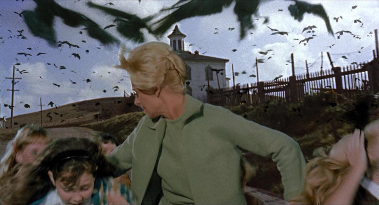 The Birds