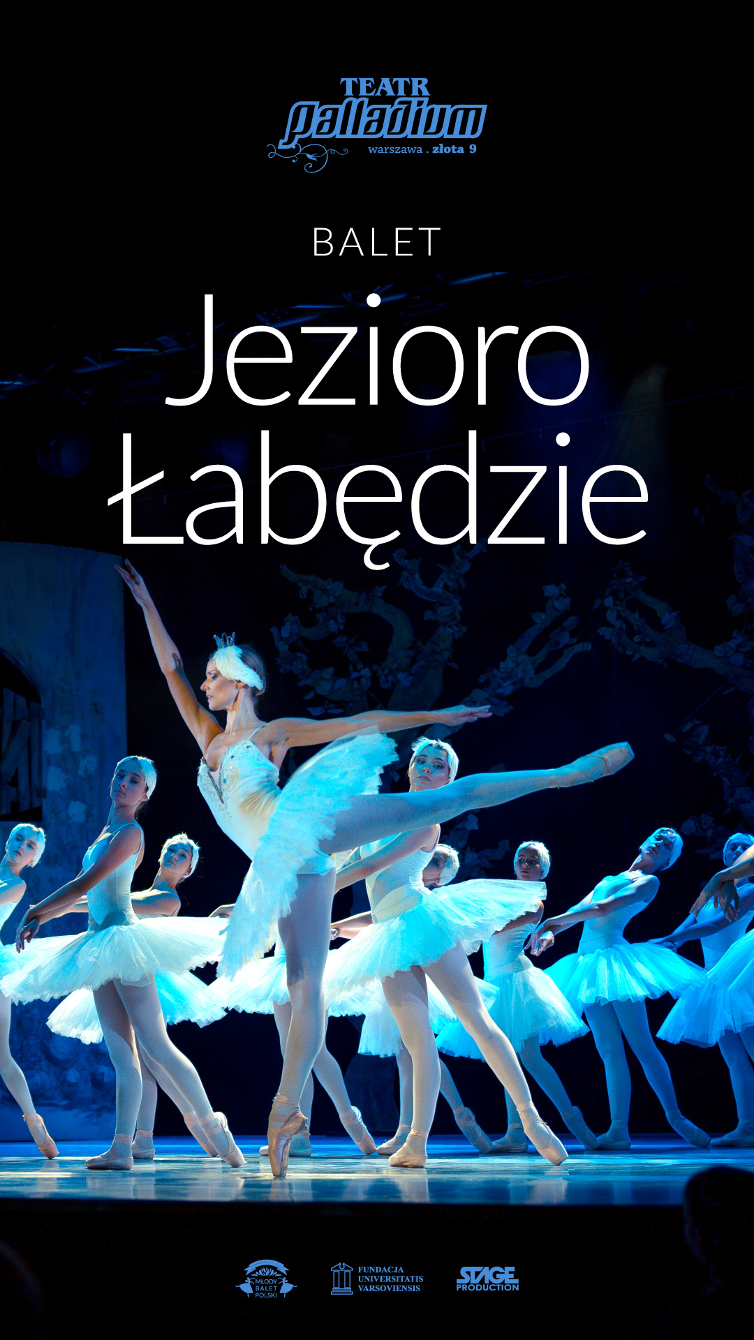 Ballet Swan Lake — a family ballet performance