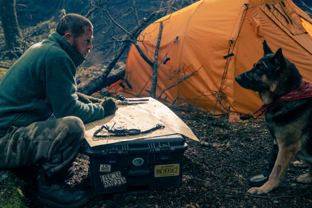 In the heart of the wilderness