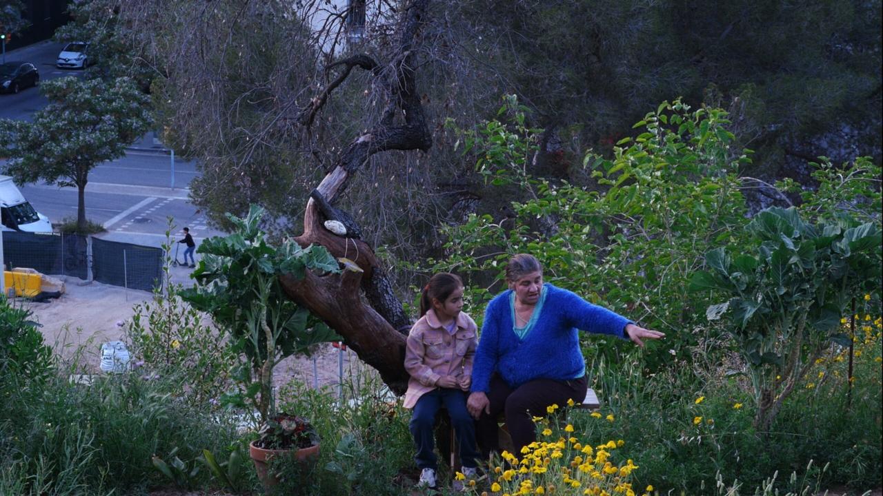 Good Valley Stories