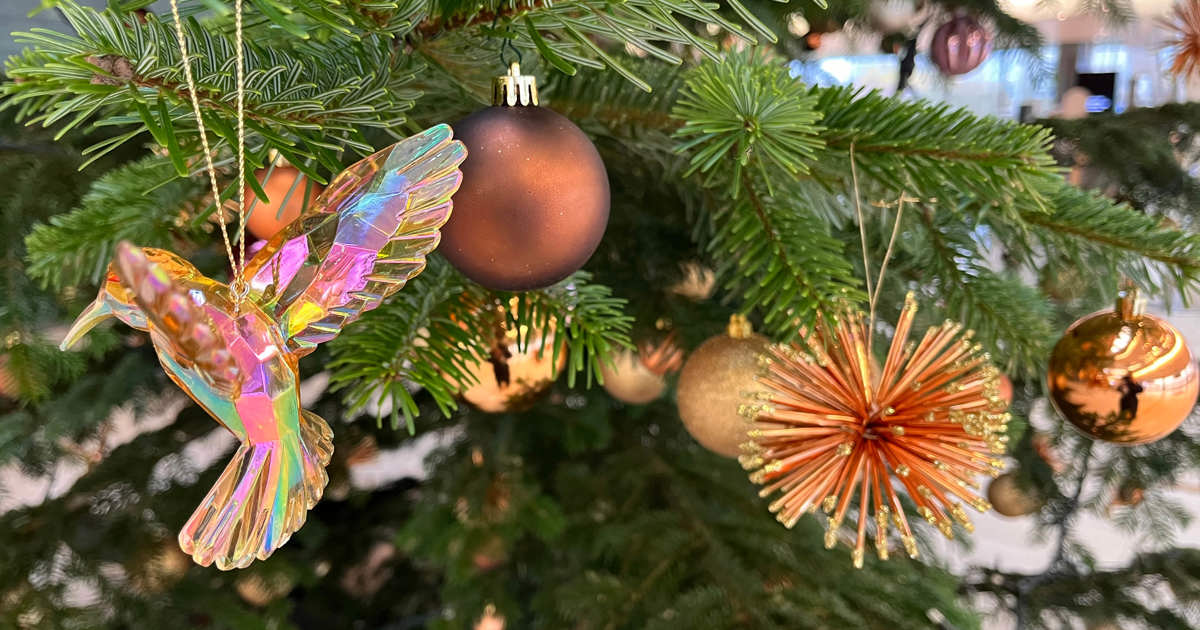 The Royal Opera Choir sings Christmas in