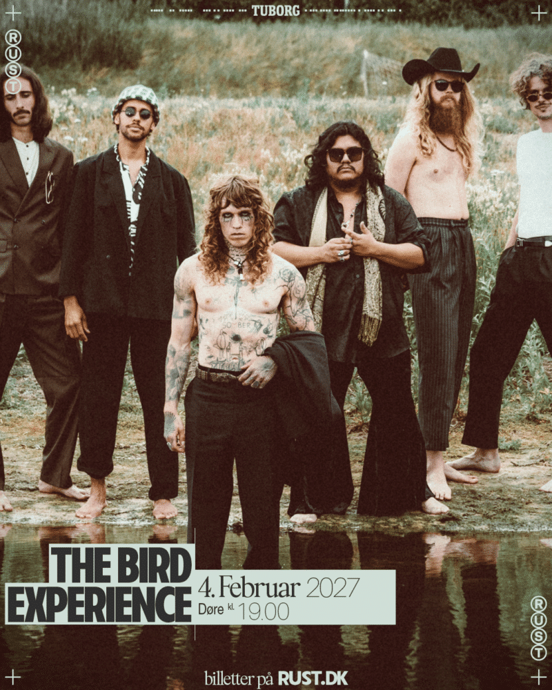 The Bird Experience (NL)